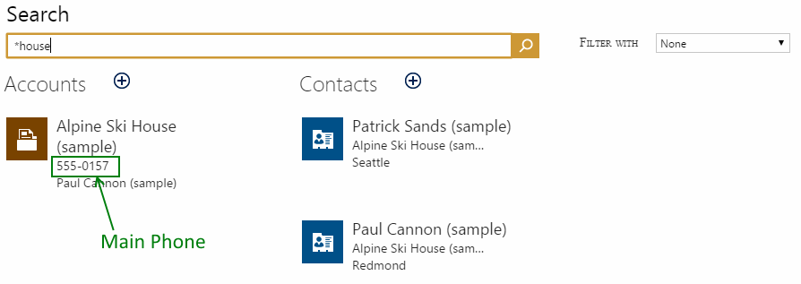 Microsoft Dynamics CRM Global Search Results