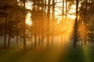 There's more lurking behind your CRM and finance systems than you think