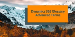 Dynamics 365 Glossary - Advanced terms