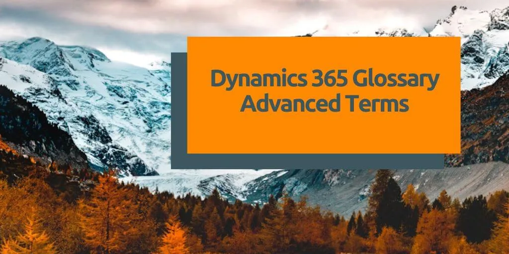 Dynamics 365 Glossary – Advanced terms